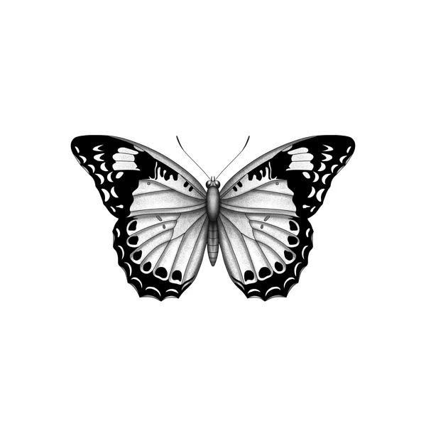 Fin