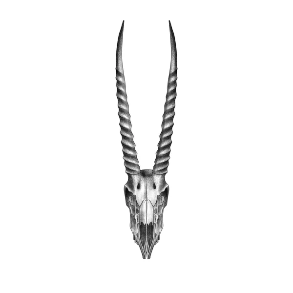 Fin