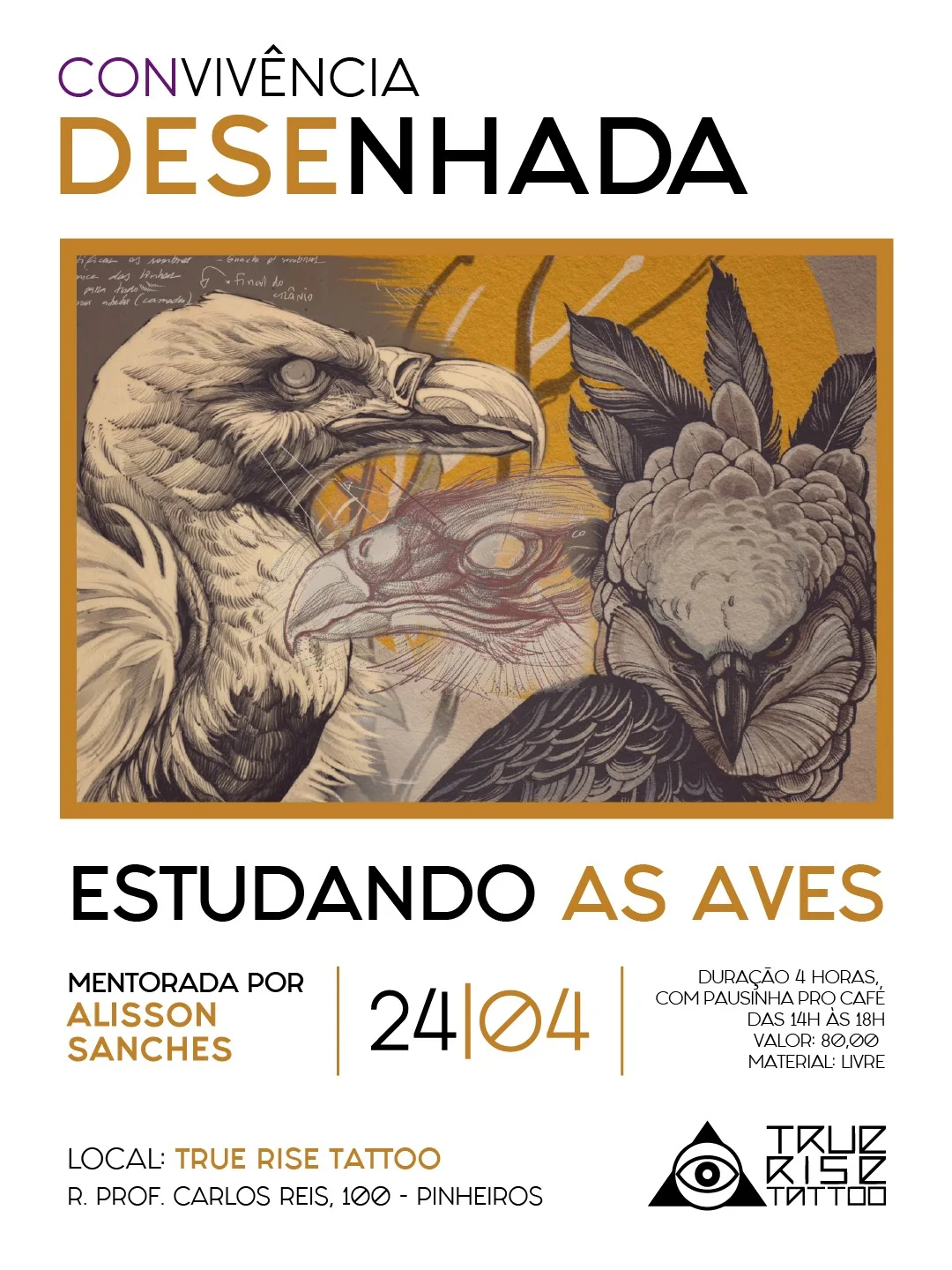 Estudando as Aves