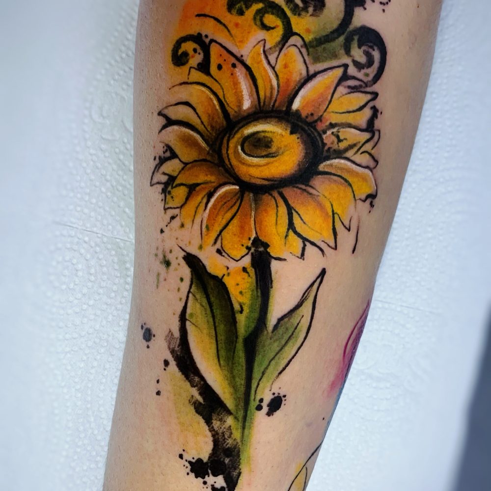 6155ED48-7B56-440A-83A3-AED4C91A724D